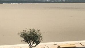 A beach view with a tree in a planter, a sandy shore, and the ocean. - Seafront -  feet in the sand - the most beautiful view of Narbonne Plage (Narbonne Plage)