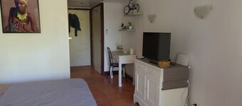 Apartment facing the sea and the beach of l'anse des rochers