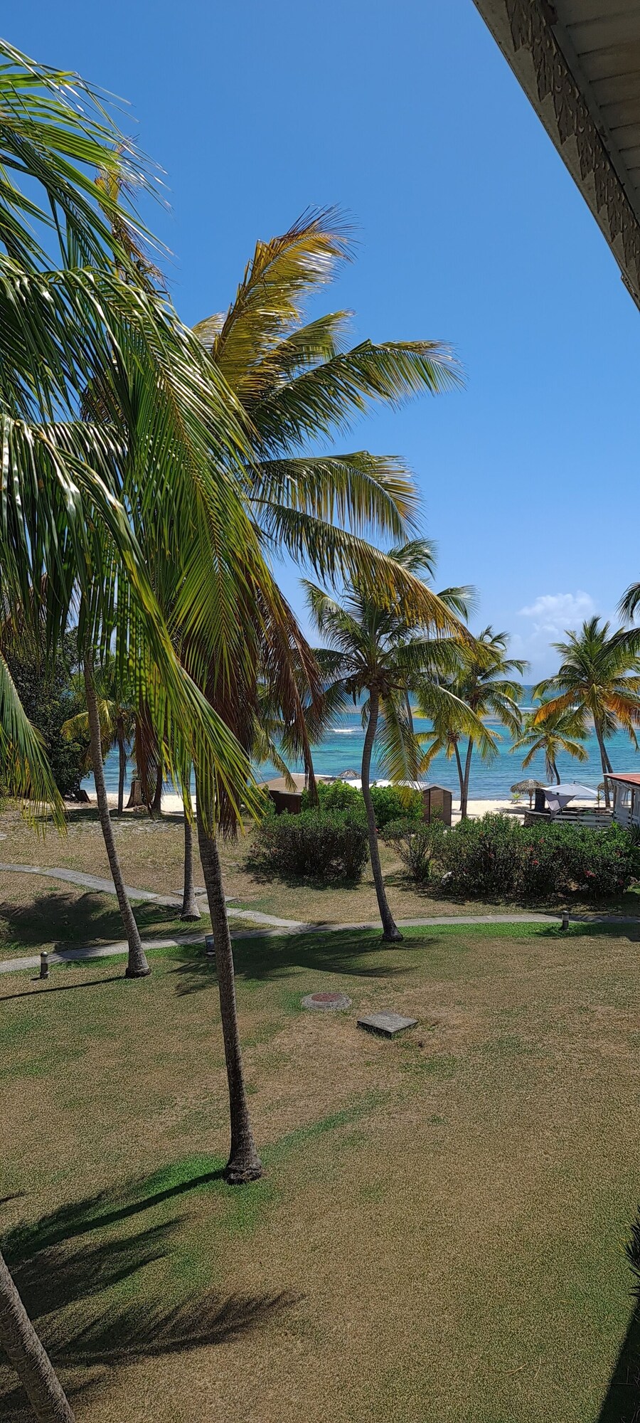 Imagen de perfil del propietario o de la propietaria