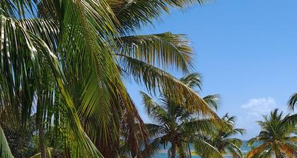 Apartment facing the sea and the beach of l'anse des rochers