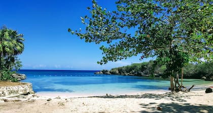 Tropical Getaway Villa: Your Family’s Private Paradise with Pool, BBQ. Drax Hall