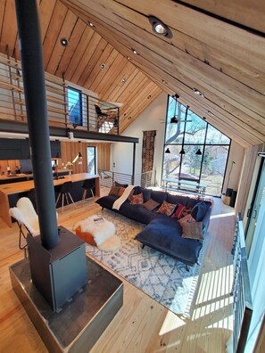 Smart TV, fireplace, books