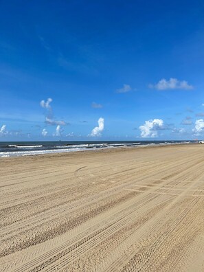 Playa en los alrededores, camastros y toallas de playa