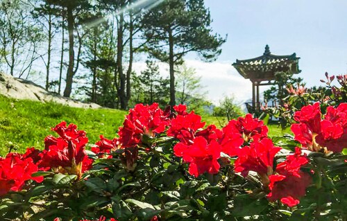 Cozy home in Bruvik with WiFi