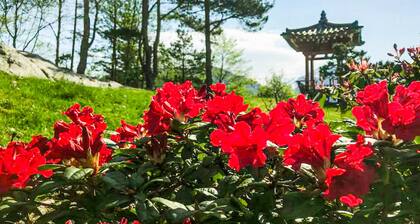 Cozy home in Bruvik with WiFi