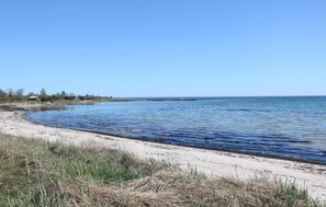 En strand med en träbrygga som sträcker sig ut i vattnet, en sandstrand och gles vegetation.