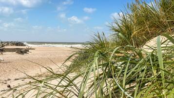 Beach nearby, fishing