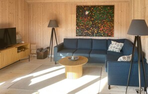 Fernseher, Kamin, DVD-Player