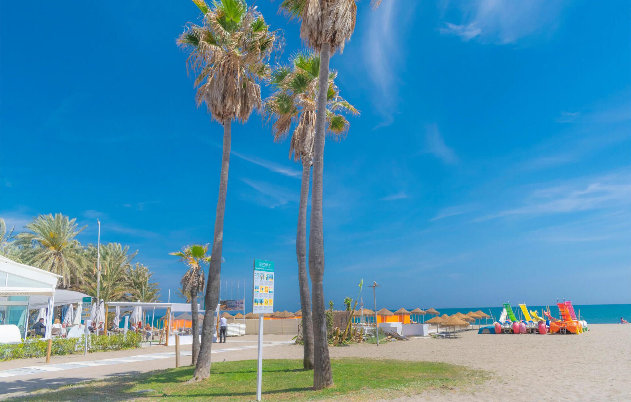 A beach with palm trees, beach umbrellas, and a signboard.