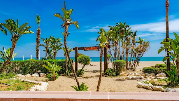 Una playa con palmeras, un arco de madera y una vista despejada del océano.