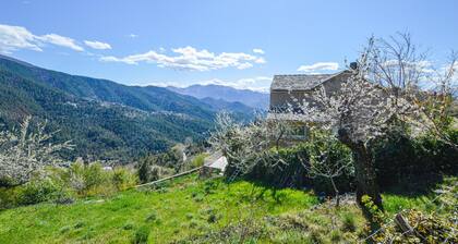 Amazing home in Morosaglia with WiFi