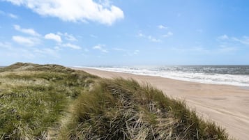 Vlak bij het strand, vissen
