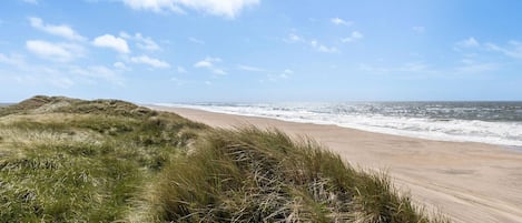 Plage Ă proximitĂ©, pĂȘche sur place