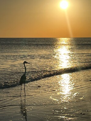 Una spiaggia nelle vicinanze
