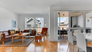 电视、壁炉、立体声音响