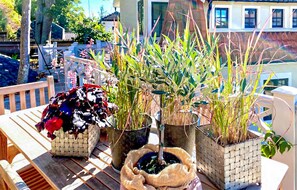 Outdoor dining - Awesome home in Mörrum with WiFi (Mörrum)