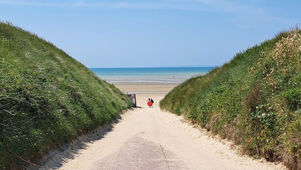 Un sendero arenoso que lleva a una playa, con dunas a ambos lados.