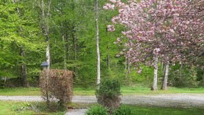 Un jardí amb un camí de grava, un arbust petit i un arbre amb flors rosades.