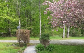 A garden with a gravel path, a small shrub, and a tree with pink blossoms.