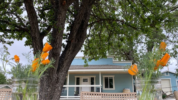 Two glass jars with orange flowers on a wooden table under a tree. - A charming country escape.  Near wineries, SLO, hiking, and SM Ranch & lake. (Santa Margarita)