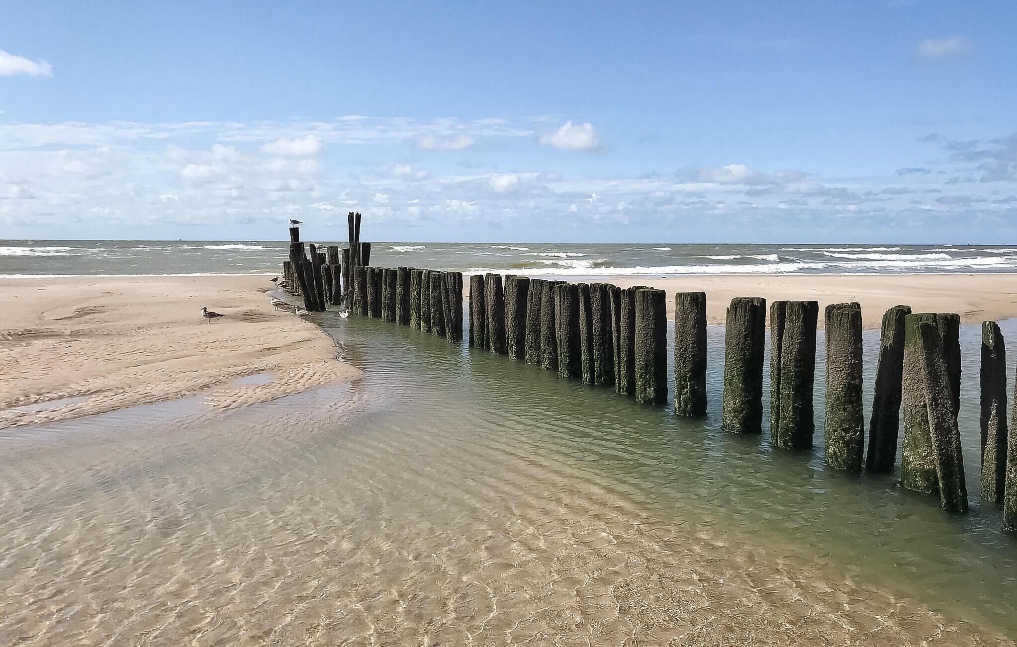 Strand