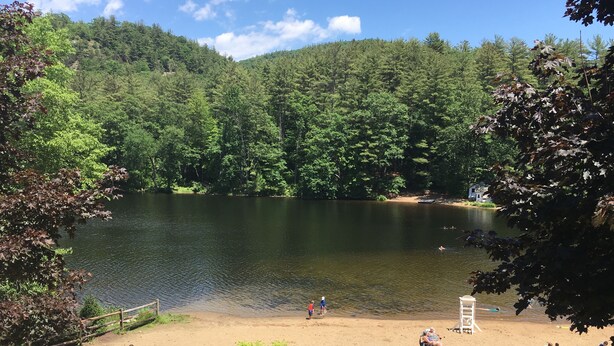 A lakeside beach with a sandy shore, surrounded by dense forest.