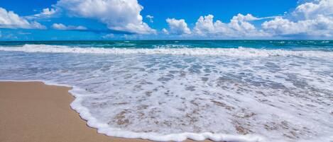 Plage à proximité, chaises longues, serviettes de plage