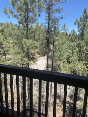 Property grounds - Perfect Vacation 3BR Cabin Central Ruidoso-Not in Flood Zone (Ruidoso)