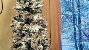 Uma árvore de Natal alta e esguia, decorada com luzes, posicionada em frente a uma janela com vista para árvores.