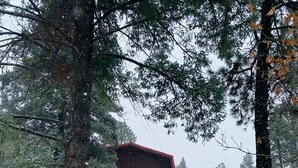 Uma cabana rústica com telhado vermelho, rodeada por terreno e árvores cobertas de neve.