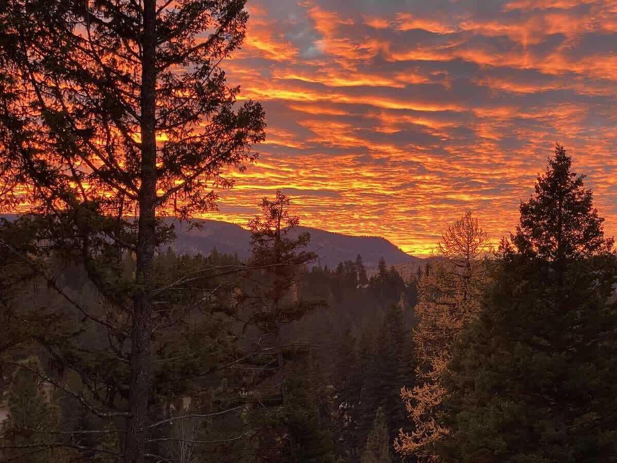 A forested landscape with a mountain in the background and a sunset sky.