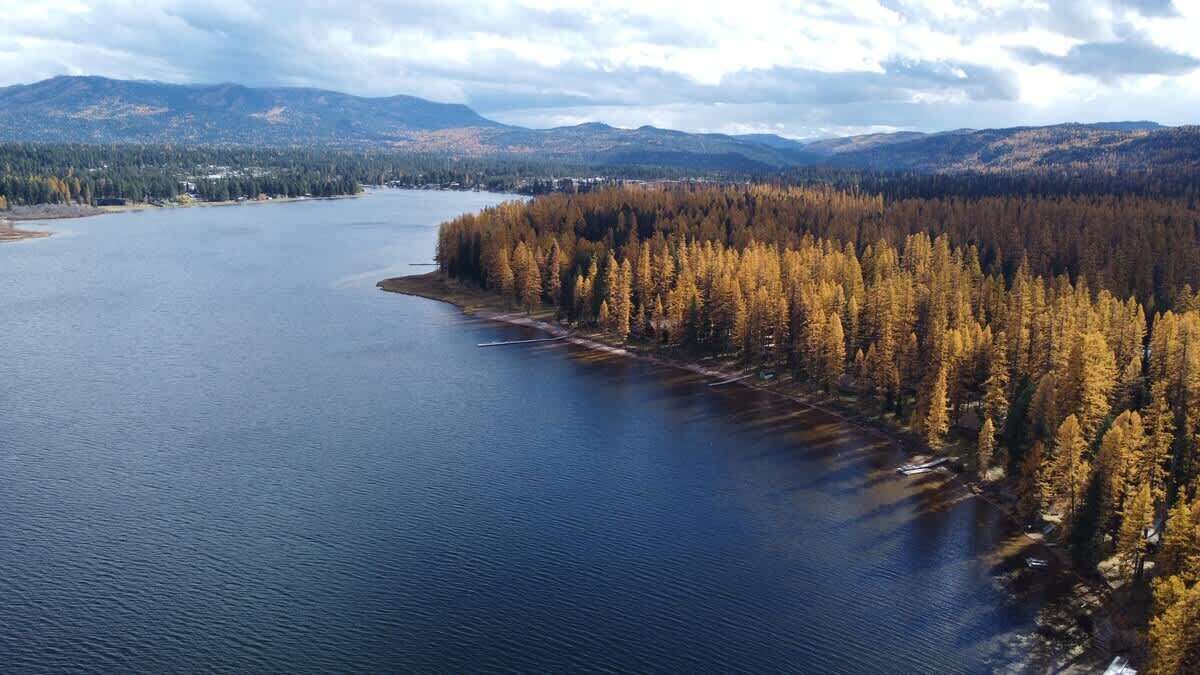 Vista aérea de un lago rodeado de bosque denso y montañas.