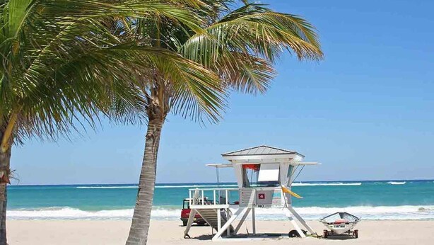 Una torre de salvavidas en la playa con vista despejada al océano y una palmera.