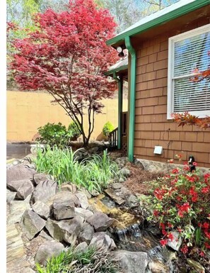 Stroll through the serene garden, featuring a naturalistic water feature and lush greenery, surrounded by a tree with vibrant foliage.