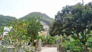 A pathway lined with potted plants leading to a building with a yellow facade, surrounded by lush greenery and hills in the background.