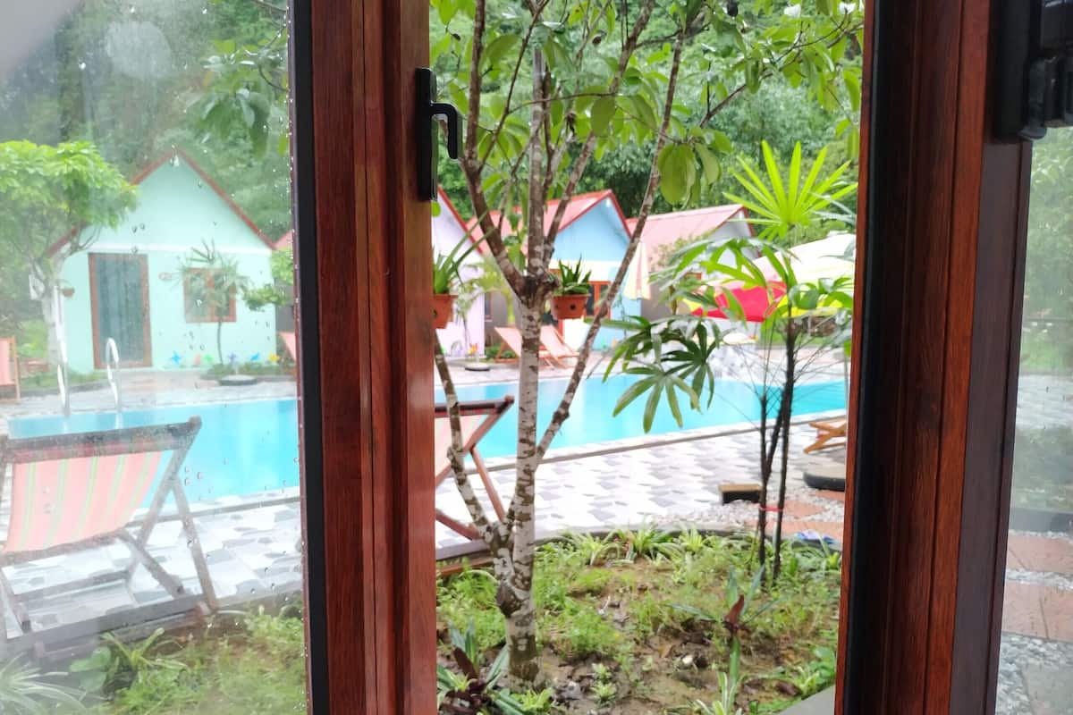 A view through a window with a wooden frame, looking out to a swimming pool area with a tiled deck, a small tree, and some potted plants.