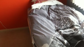 A small, single-bed room with a red wall and a window on the right side. - A castle a few km from here (Utrecht)