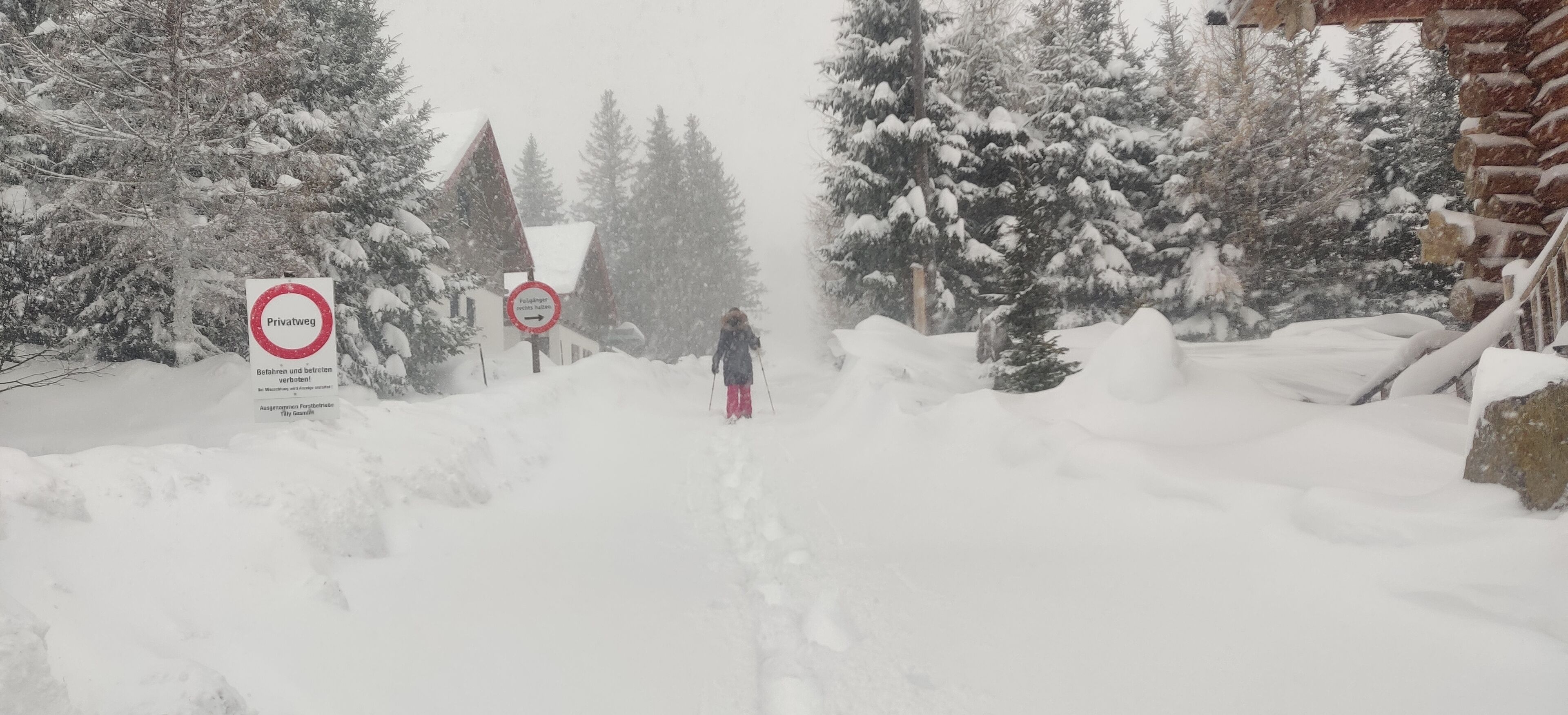 Paisaje nevado con una persona esquiando, rodeada de árboles cubiertos de nieve y un edificio con un letrero rojo.