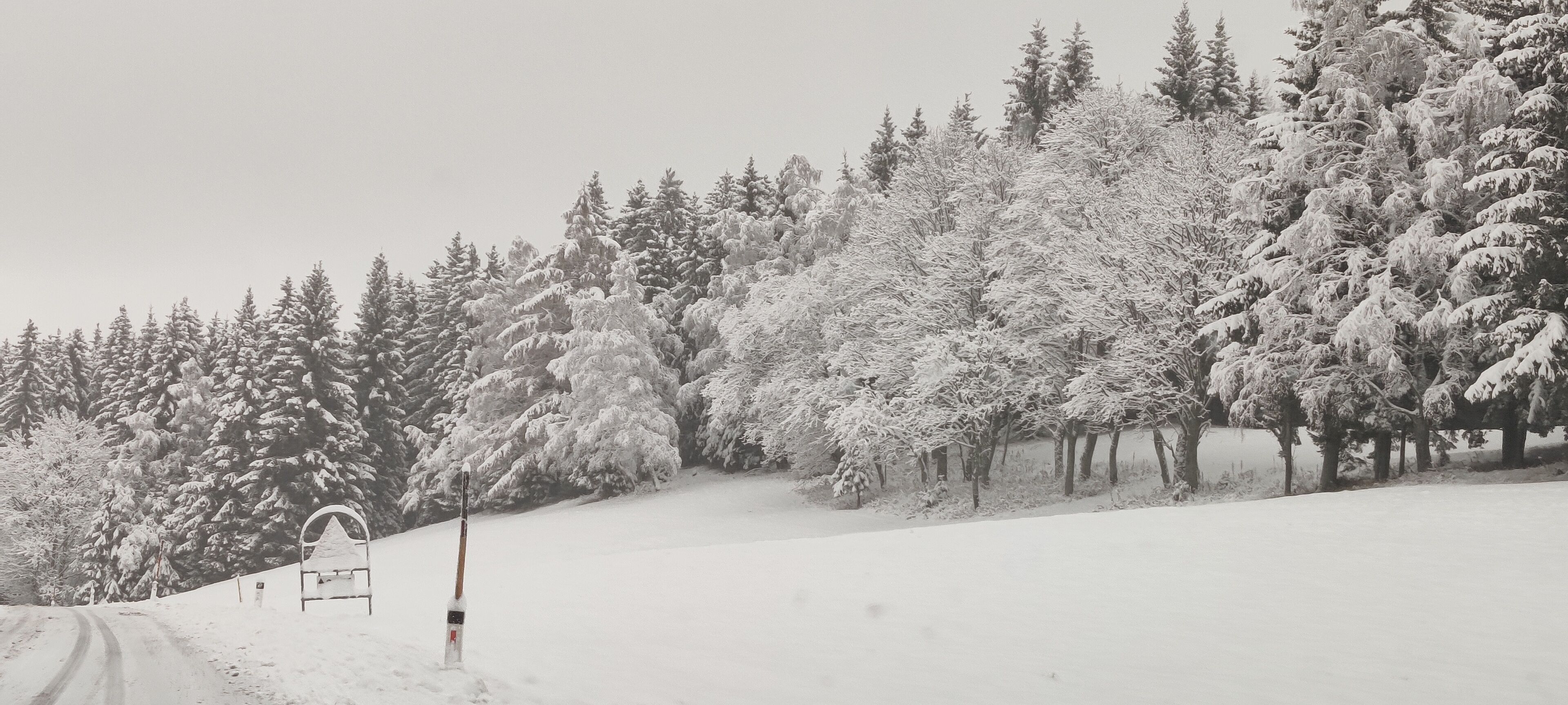 Snø- og skisport