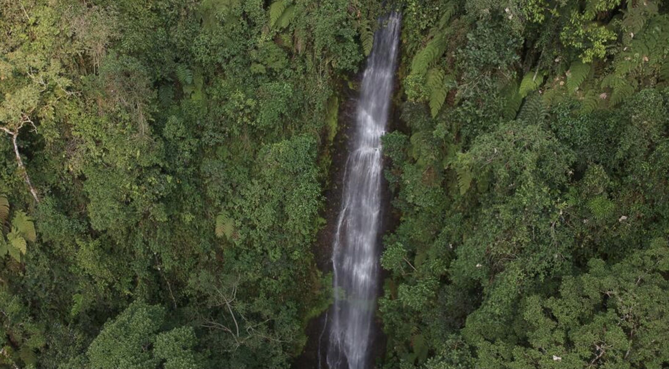 Cabaña | Áreas de la propiedad