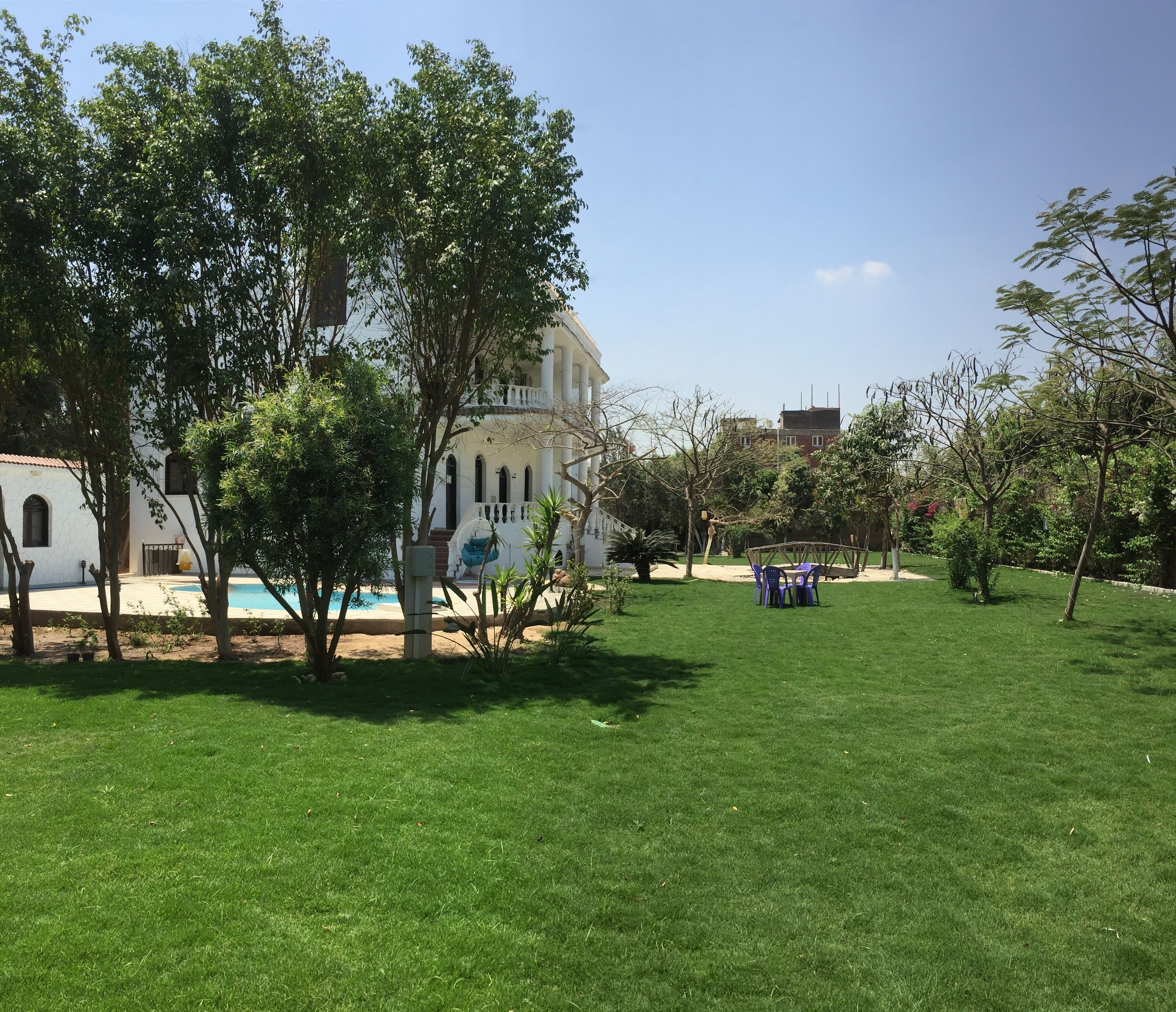 A grassy outdoor area with a white building, trees, and a seating area with blue chairs.