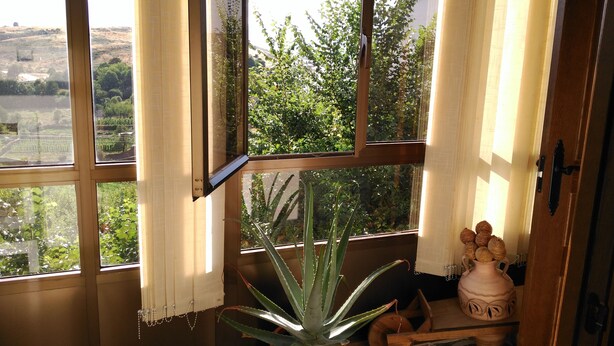 Een kamer met grote ramen en uitzicht op een groen landschap, een kamerplant aloe vera en een decoratieve vaas met oor.