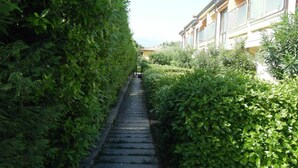 Un estrecho sendero de piedra bordeado por altos setos verdes que conduce a un edificio con ventanas grandes y fachada amarilla.