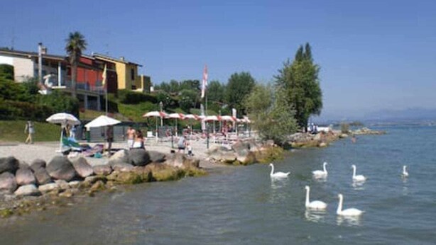 Ein am See gelegenes Hotel mit Außenbereich, Badesteg und Schwänen im Wasser.