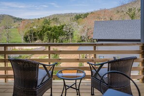 Property grounds - Long Grass View | Contemporary Mountain Home in Asheville (Asheville)