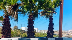 A hot tub area with three palm trees and a clear view of buildings in the background.