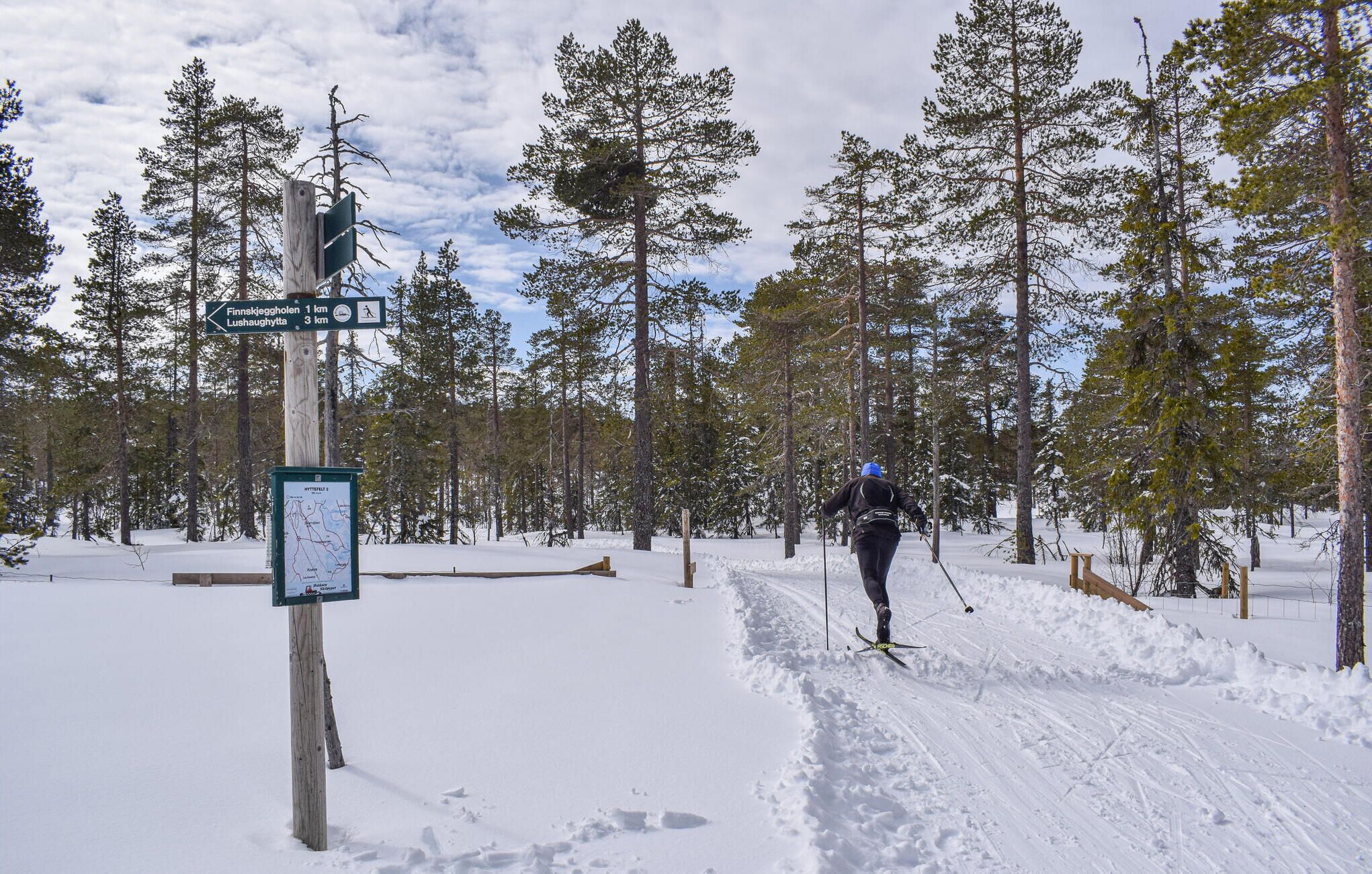 Snø- og skisport