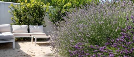 Jardines del alojamiento