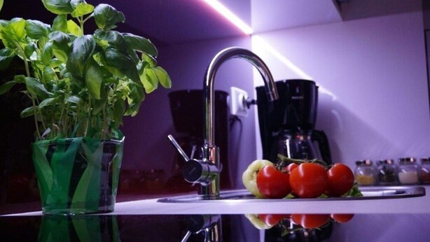 Une cuisine dotée d’un robinet moderne, d’un vase en verre contenant des plantes vertes et d’une assiette avec des tomates et un poivron.