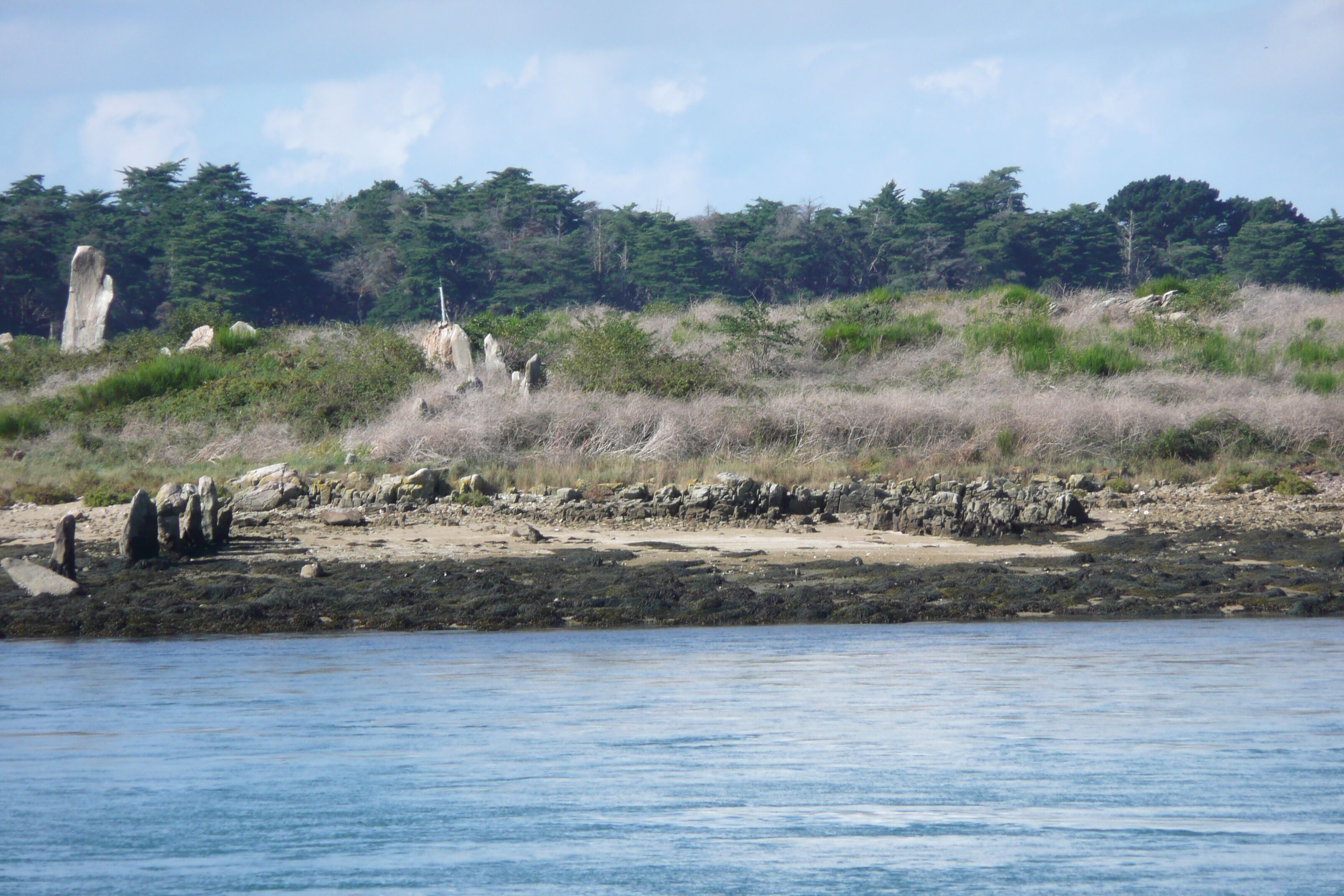 A coastal landscape with rocky outcrops and dense forest in the background.